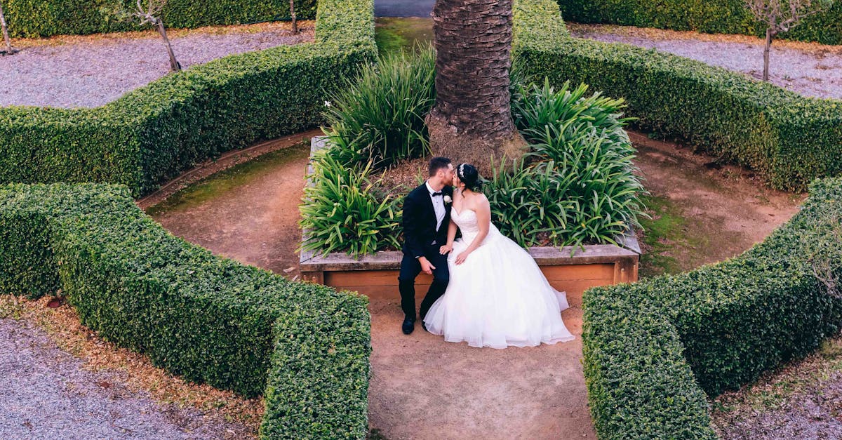 découvrez une large sélection de robes de mariée abordables, élégantes et tendance pour un mariage de rêve sans dépasser votre budget. trouvez la robe parfaite à petit prix !