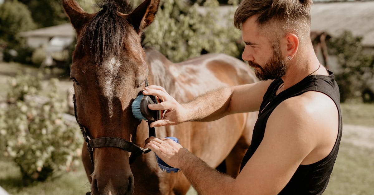 découvrez une formation complète pour devenir soigneur animalier : compétences, techniques et conseils pour prendre soin des animaux avec professionnalisme et passion.