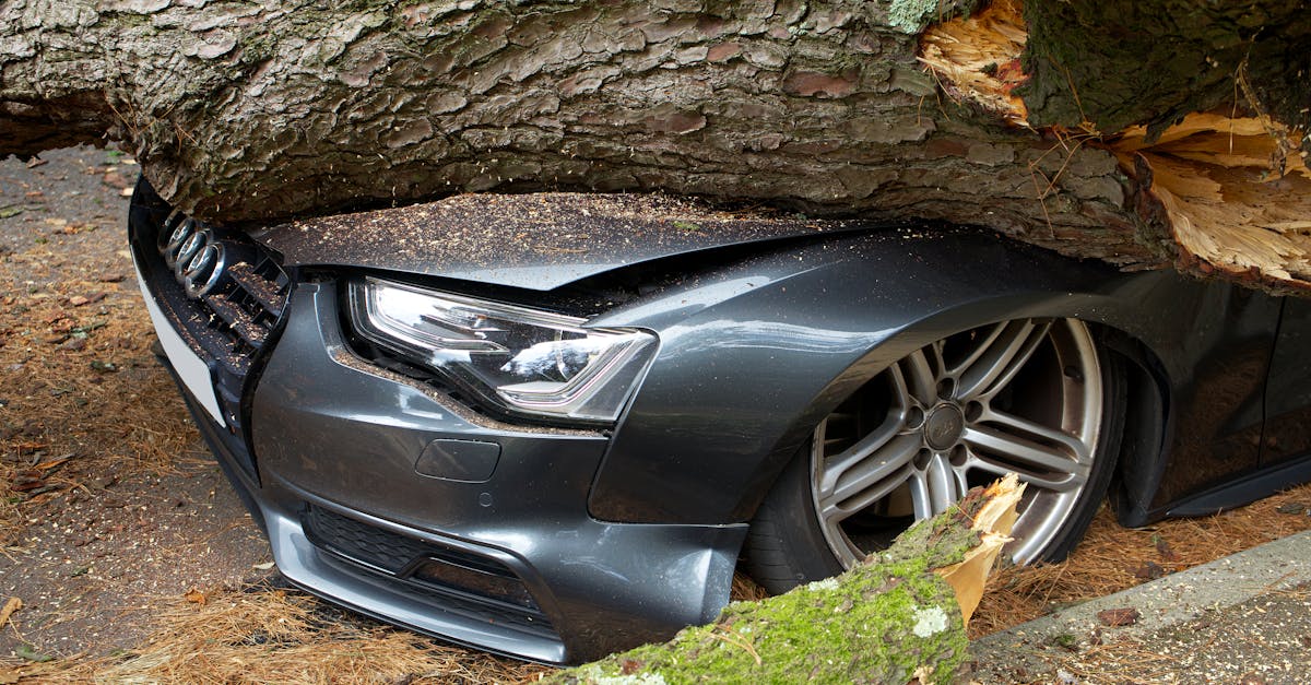 trouvez la meilleure assurance auto adaptée à vos besoins et à votre budget. comparez les offres, obtenez des devis en ligne et roulez l'esprit tranquille grâce à une couverture complète.