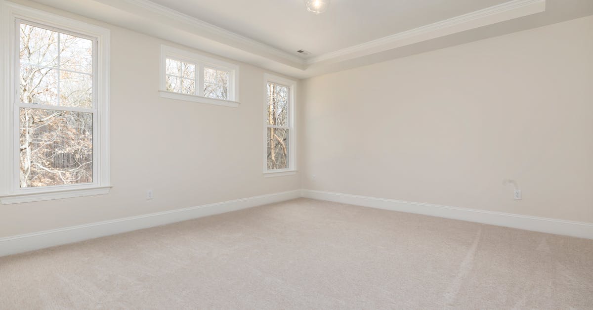 découvrez tout ce qu’il faut savoir sur les plinthes (baseboard) : fonctions, matériaux, installation et astuces pour sublimer vos intérieurs et protéger vos murs.