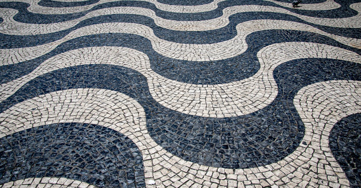 découvrez les carreaux métro noirs, une solution tendance et élégante pour sublimer cuisines et salles de bain avec une touche moderne et intemporelle.