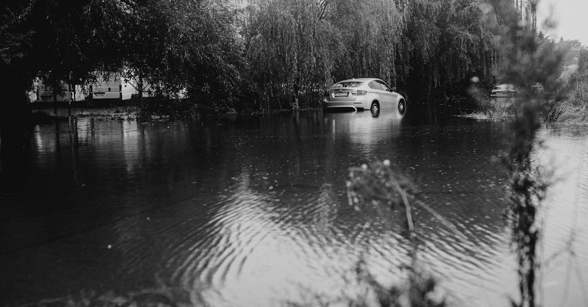 découvrez tout ce que vous devez savoir sur l'annulation d'une assurance auto : démarches, conditions, délais et conséquences pour choisir la meilleure solution.