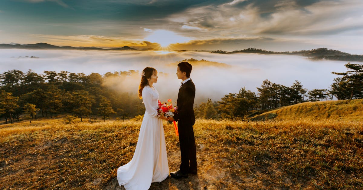 découvrez notre collection de robes de cérémonie élégantes pour toutes vos occasions spéciales : mariage, baptême, soirée ou gala. styles tendance, tissus raffinés, pour sublimer votre silhouette avec classe.