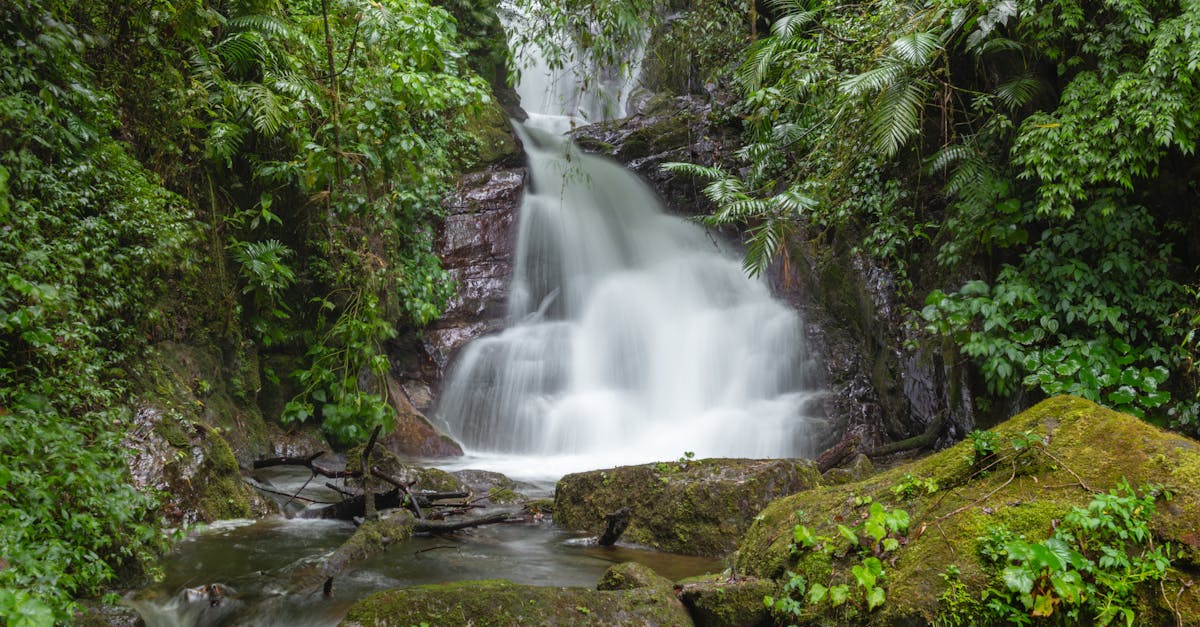 découvrez le costa rica, un pays d’amérique centrale célèbre pour sa biodiversité, ses plages paradisiaques, ses volcans et ses forêts tropicales. explorez ses richesses naturelles et culturelles pour vivre une expérience inoubliable !