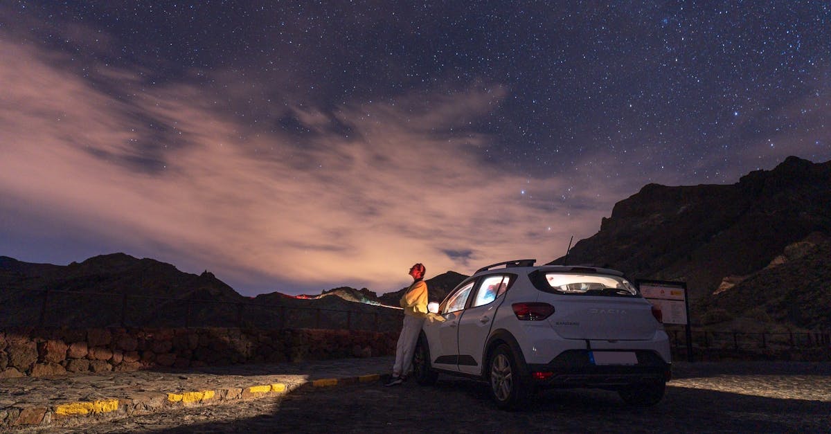 découvrez la dacia sandero stepway : une citadine polyvalente au design moderne, dotée de fonctionnalités innovantes, offrant confort, fiabilité et excellent rapport qualité-prix. parfaite pour la ville comme pour l’aventure !