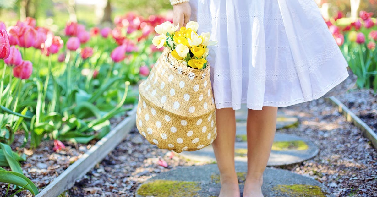 découvrez notre collection de robes élégantes, parfaites pour toutes les occasions. trouvez le modèle idéal pour sublimer votre style et profitez d’un large choix de couleurs et de tailles. livraison rapide et retours faciles.