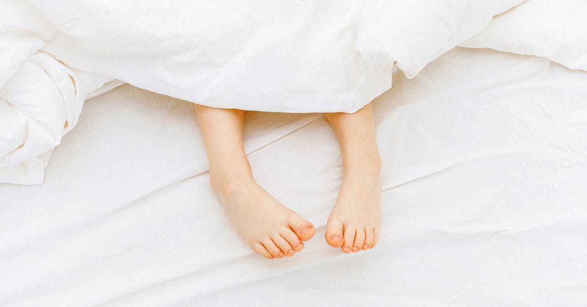découvrez notre sélection de housses de couette élégantes et confortables pour sublimer votre chambre. grand choix de motifs et de tailles pour un sommeil doux et stylé.