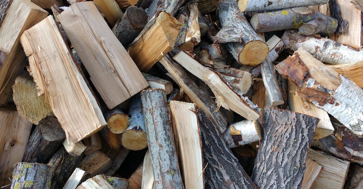découvrez tout ce qu'il faut savoir sur le bois de chauffage : types de bois, conseils de stockage, astuces pour un feu efficace et infos pratiques pour bien choisir votre bois de chauffage.