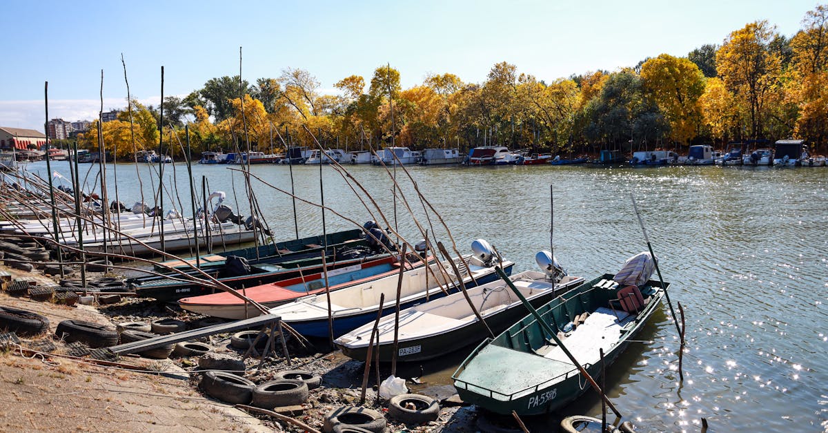 obtenez toutes les informations essentielles sur la licence de pêche : démarches, prix, validité et conseils pour pratiquer la pêche en toute légalité en france.