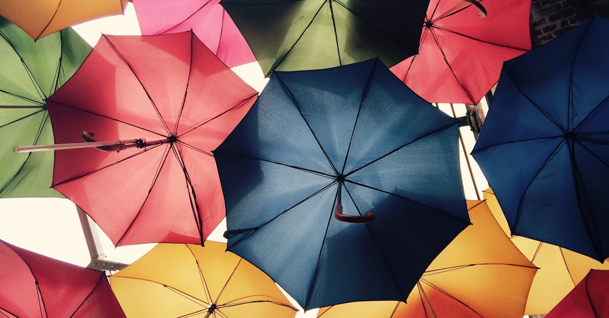 découvrez tout ce qu'il faut savoir sur l'assurance : types, fonctionnement, conseils pour bien choisir votre contrat et protéger efficacement vos biens et votre famille.