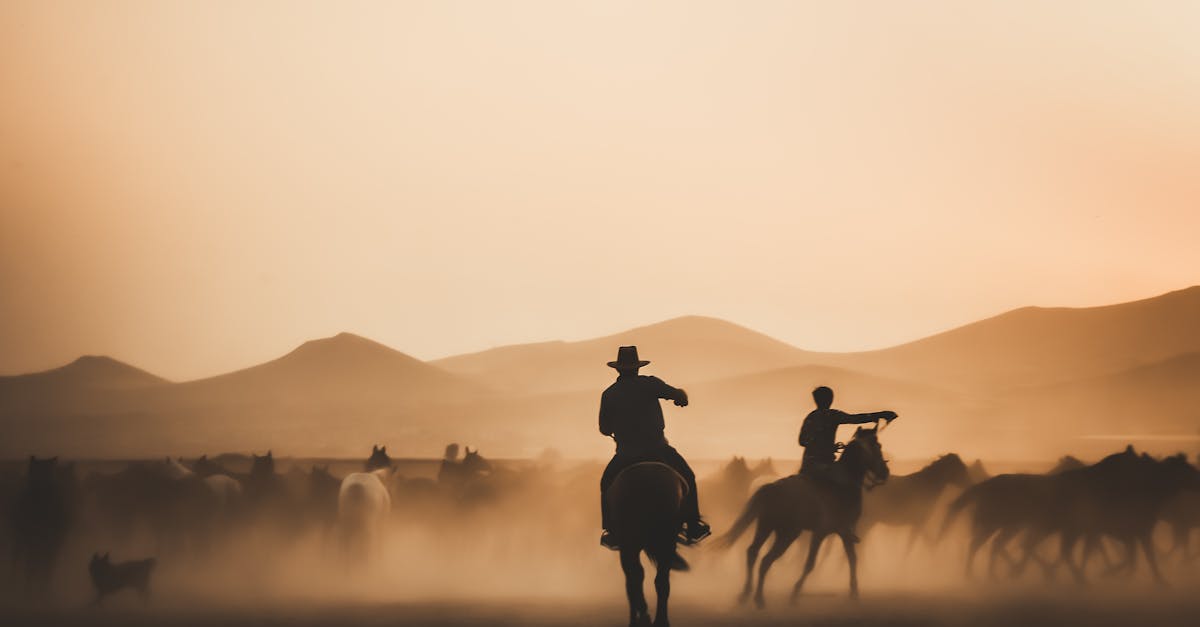 découvrez tout sur les chevaux isabelle : caractéristiques, origines, soins spécifiques et conseils pour choisir un cheval à la robe isabelle.