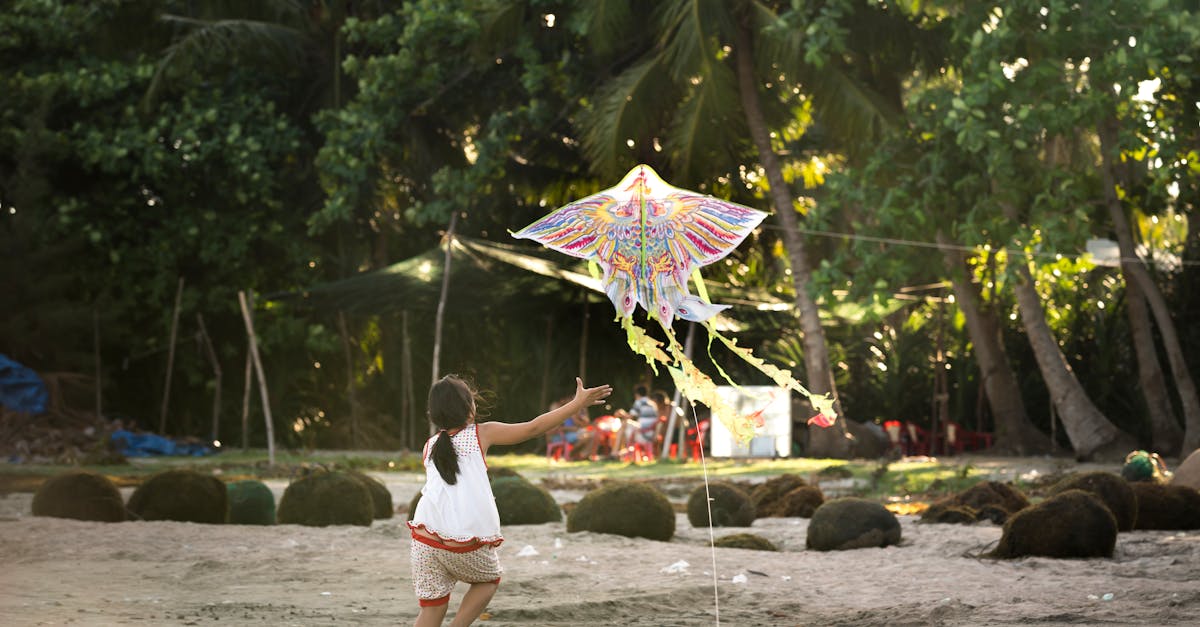 découvrez tout sur le kite, un sport nautique passionnant alliant adrénaline et liberté. apprenez les bases, les équipements indispensables et nos conseils pour débuter le kitesurf en toute sécurité.