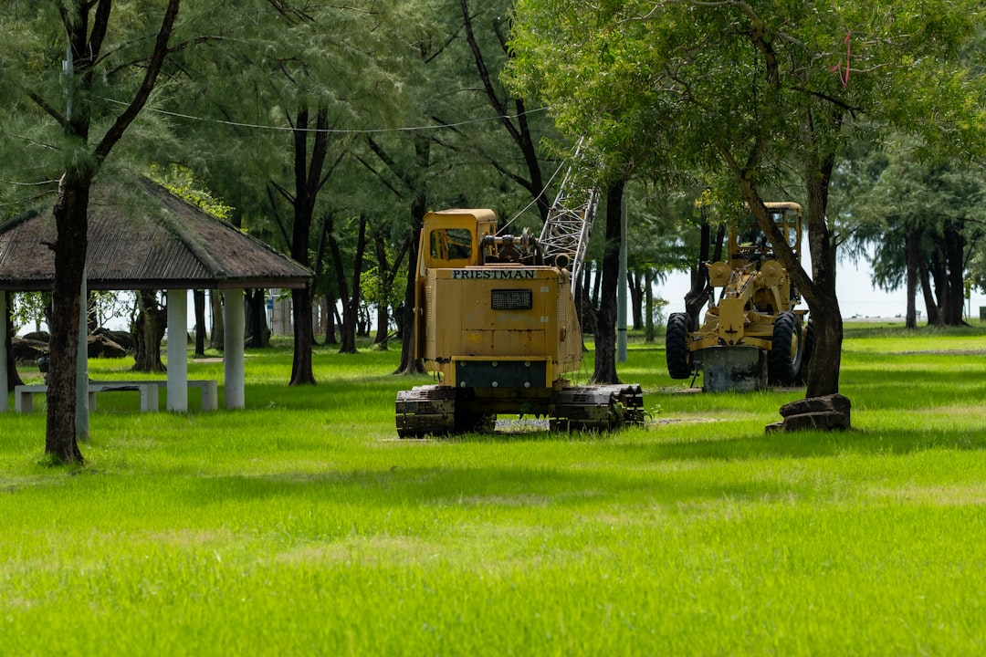 découvrez nos conseils et étapes clés pour réussir la rénovation de votre pelouse : améliorez l’aspect de votre gazon, éliminez les mauvaises herbes et redonnez vie à votre jardin facilement.