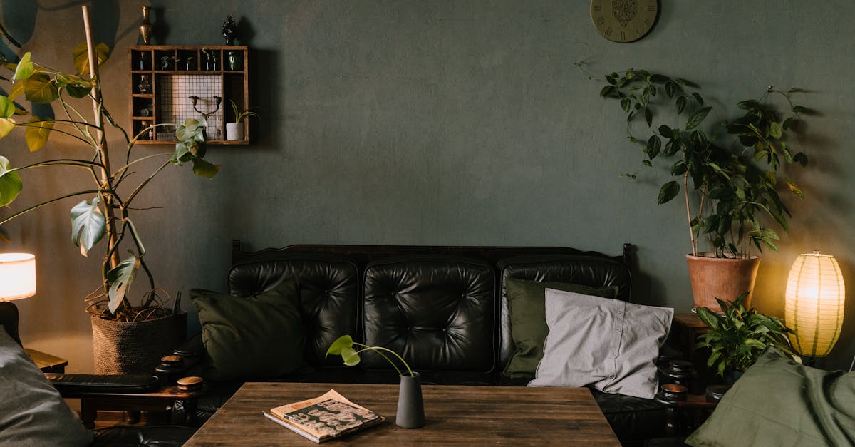 découvrez notre sélection de canapés en cuir alliant élégance, confort et durabilité. donnez du style à votre salon avec un sofa en cuir de qualité supérieure, facile à entretenir et parfait pour sublimer votre intérieur.