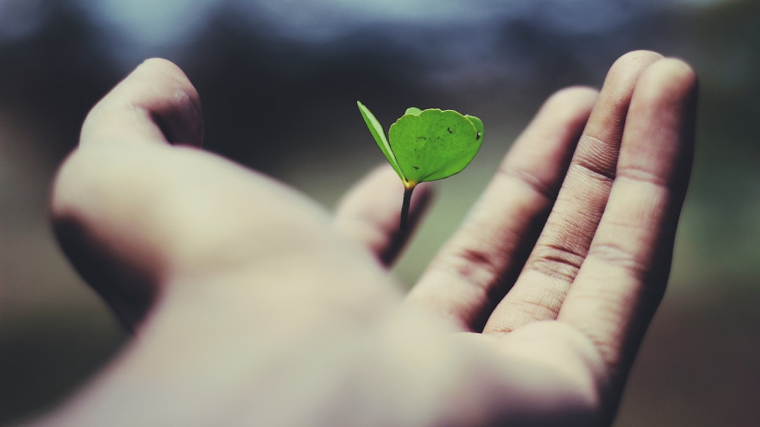 découvrez l'essentiel de l'assurance vie : fonctionnement, avantages et conseils pour bien choisir votre contrat afin de protéger vos proches et préparer votre avenir financier.