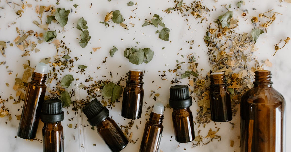 découvrez tout sur l'huile de lin : ses bienfaits, ses utilisations en cuisine, au jardin et pour la santé, ainsi que des conseils pour bien la choisir et la conserver.