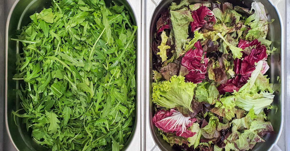 découvrez les bienfaits du magnésium, un minéral essentiel pour la santé, la gestion du stress et le bon fonctionnement musculaire et nerveux. conseils, sources alimentaires et astuces pour éviter les carences.