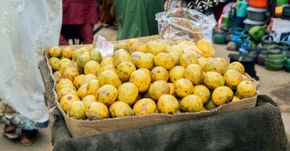 découvrez la mangue, un fruit exotique sucré et juteux, apprécié pour sa saveur unique et ses bienfaits pour la santé. idéale en smoothie, salade ou dessert, la mangue ravit les papilles et apporte une touche tropicale à vos recettes.