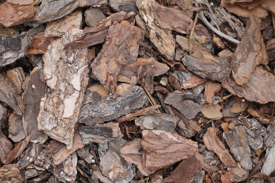 découvrez le mulching : une technique écologique de tonte qui consiste à broyer finement l’herbe coupée pour la répartir sur la pelouse. améliorez la santé de votre gazon et réduisez les déchets grâce au mulching.