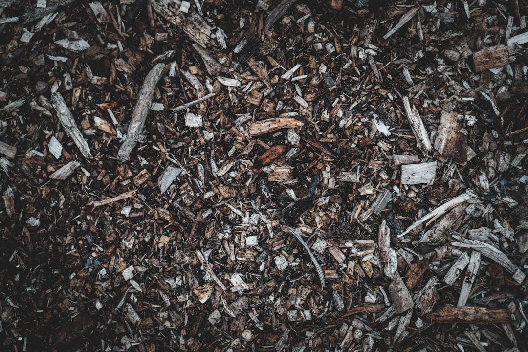 découvrez le mulching, une technique de tonte permettant de fertiliser naturellement votre pelouse en recyclant l’herbe coupée. écologique et économique, le mulching favorise la santé du gazon tout en réduisant les déchets de jardin.
