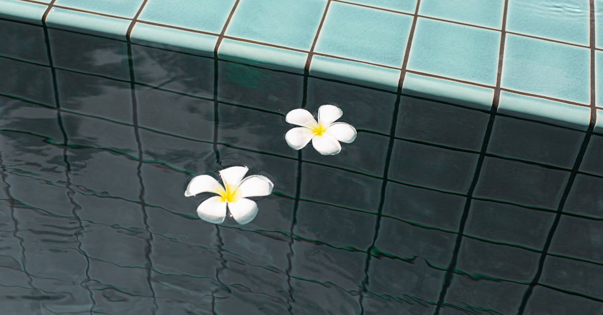 découvrez comment peindre des carreaux d'extérieur pour transformer votre terrasse ou balcon. conseils pratiques, choix de peinture et astuces durables pour un résultat esthétique et résistant aux intempéries.