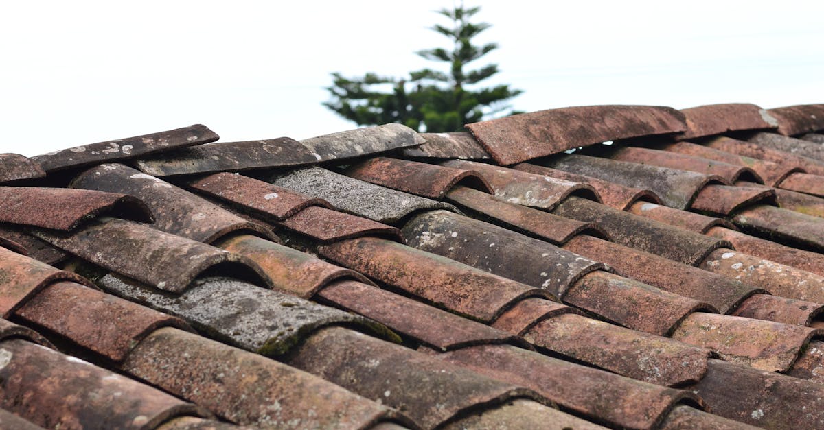 découvrez notre sélection de carrelages extérieurs résistants et design, parfaits pour sublimer terrasses, balcons et jardins. large choix de couleurs et formats. commandez en ligne !