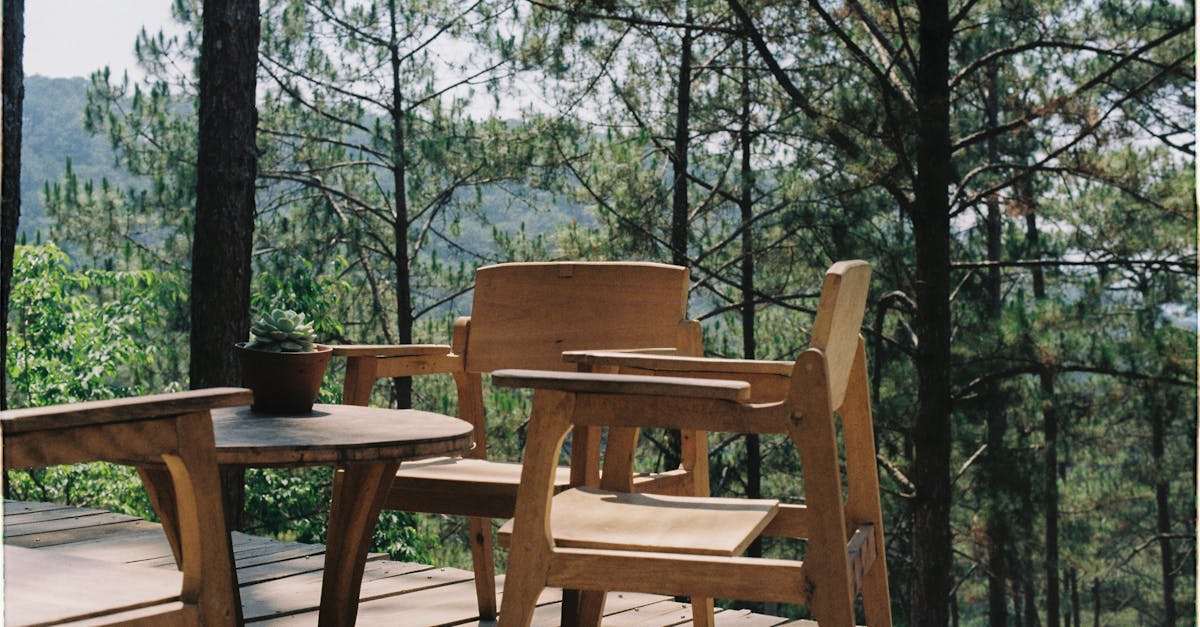 découvrez nos solutions de terrasse en bois extérieur : durabilité, élégance et conseils d'installation pour sublimer votre jardin ou espace extérieur avec un decking résistant et esthétique.