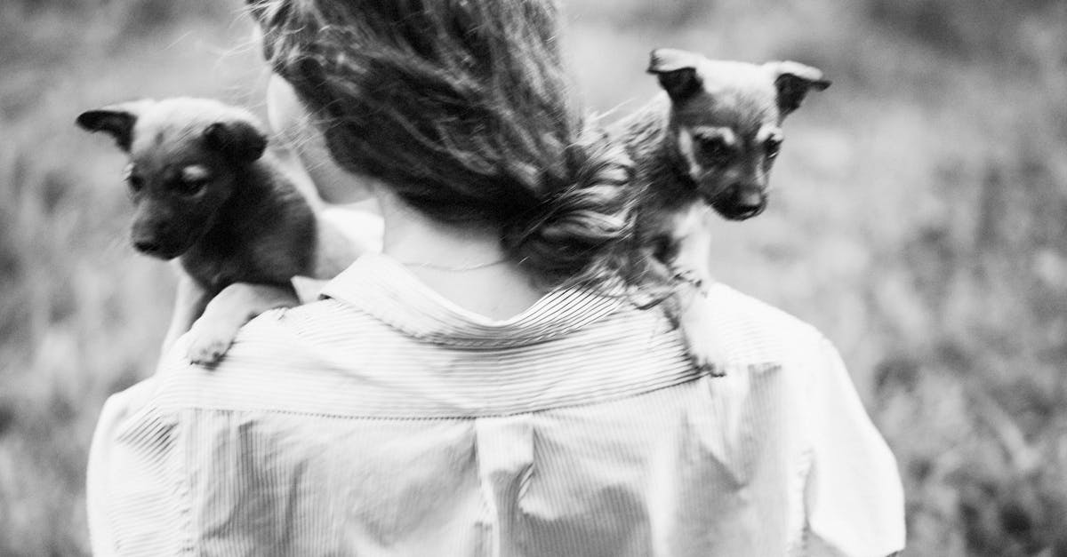 découvrez notre aspirateur spécialement conçu pour éliminer efficacement les poils d'animaux. idéal pour garder votre maison propre et fraîche, même avec des animaux de compagnie !