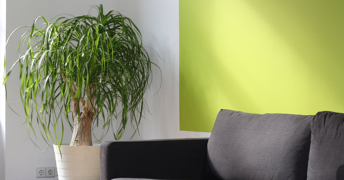 découvrez notre sélection de sofas confortables et design pour sublimer votre salon. profitez de modèles adaptés à tous les styles, avec livraison rapide et conseils personnalisés.
