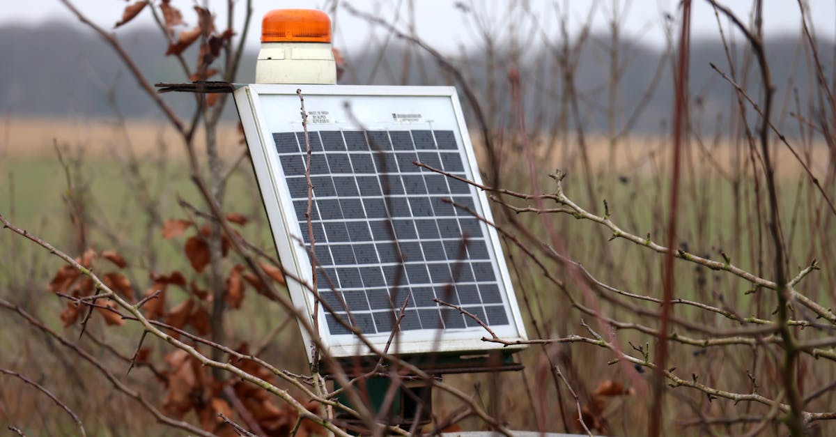 découvrez le coût des panneaux solaires en 2024 : prix moyen, facteurs qui influencent le tarif, conseils pour économiser et rentabiliser votre installation photovoltaïque.