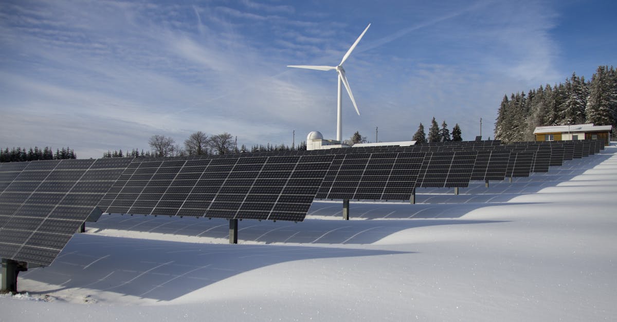 découvrez le coût des panneaux solaires en 2024 : prix moyens, facteurs influençant le tarif, astuces pour optimiser votre investissement et économies potentielles sur votre facture d'électricité.