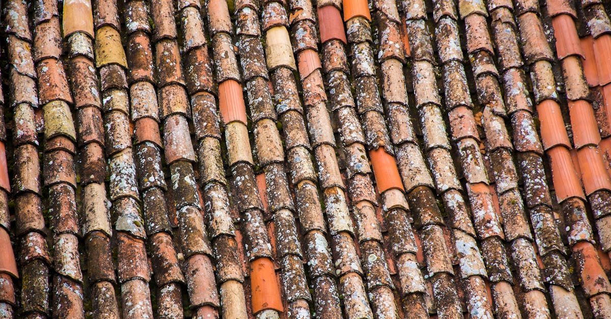 découvrez tout sur les tarifs de pose de carrelage : facteurs influençant le prix, coût moyen au m² et conseils pour bien choisir votre artisan carreleur.