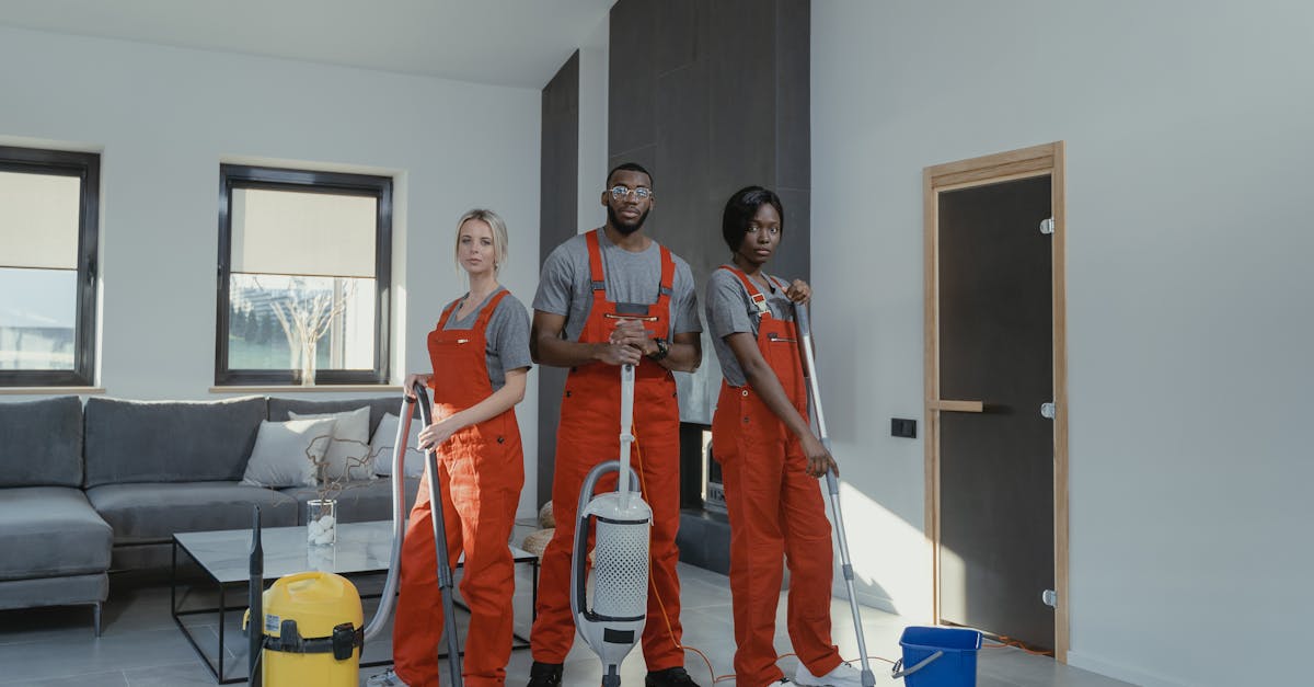 découvrez notre sélection d’aspirateurs performants pour un nettoyage efficace de votre maison. trouvez le modèle adapté à vos besoins et profitez d’un intérieur impeccable au quotidien.
