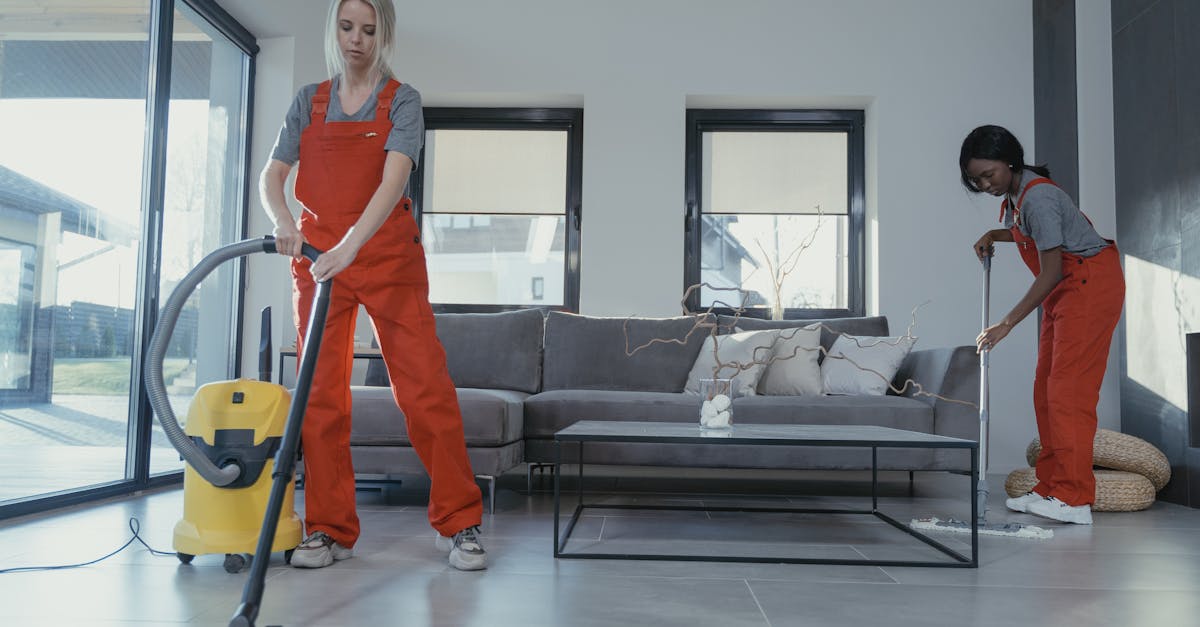 découvrez notre sélection d’aspirateurs performants pour un nettoyage efficace de votre maison. profitez des dernières technologies pour un intérieur impeccable et sans effort.