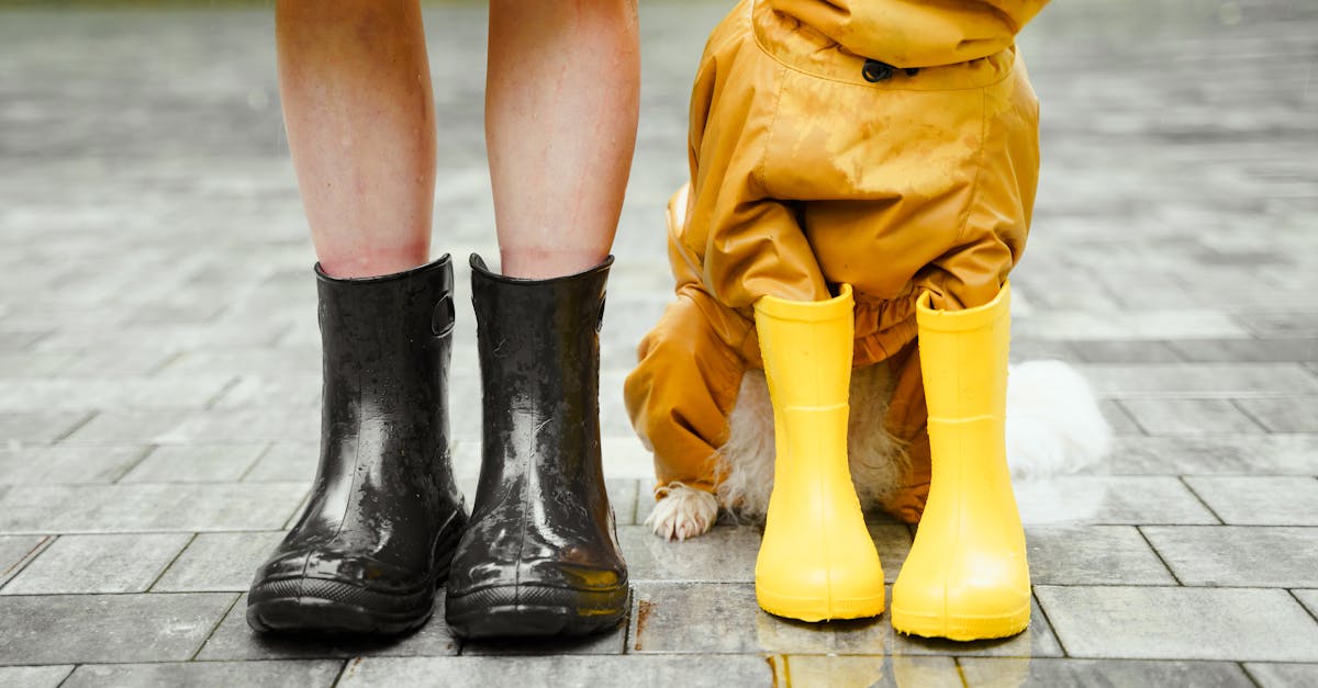 découvrez nos solutions d'étanchéité pour protéger efficacement vos bâtiments contre l'humidité et les infiltrations d'eau. profitez de conseils d'experts et de produits performants pour une isolation durable.