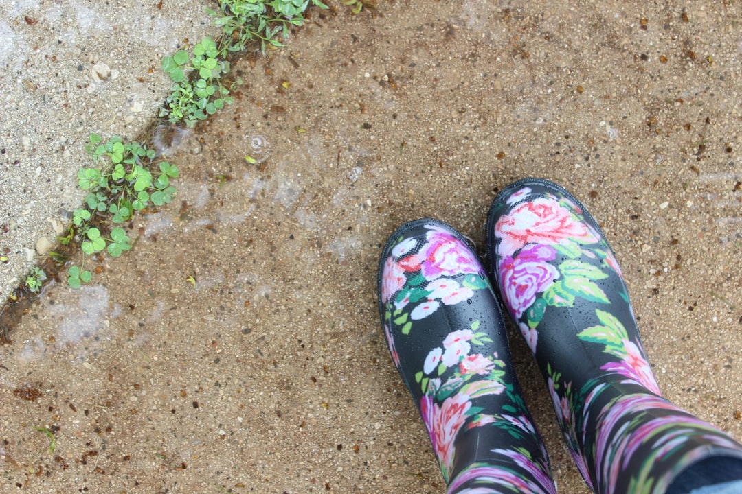 découvrez tout sur les mauvaises herbes : identification, impact sur le jardin, conseils pour les éliminer efficacement et préserver la santé de vos plantes.