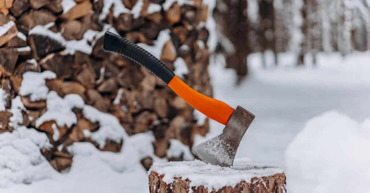 découvrez notre sélection d'équipements d'hiver : vêtements chauds, accessoires et matériel pour affronter le froid, la neige et pratiquer vos activités hivernales en toute sécurité.
